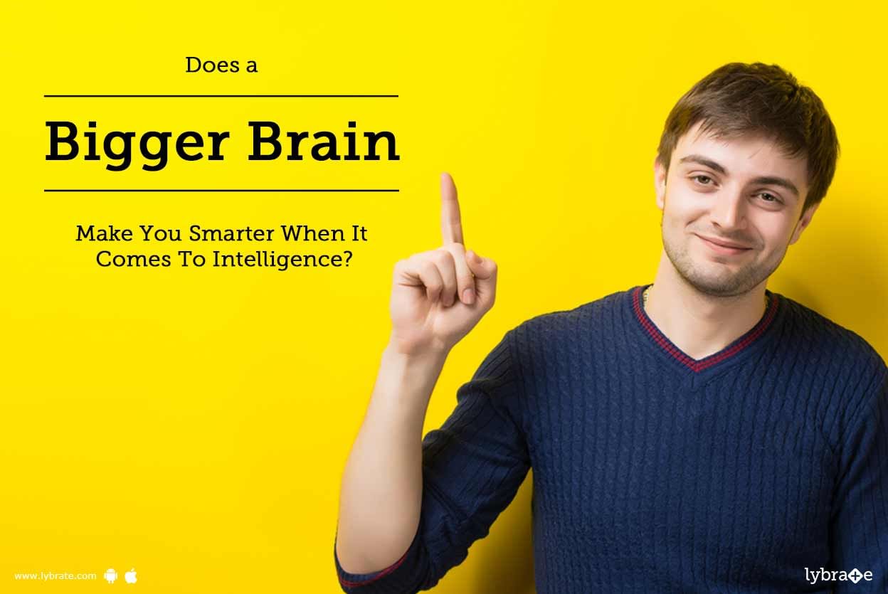 Does a Bigger Brain Make You Smarter When It Comes To Intelligence?
