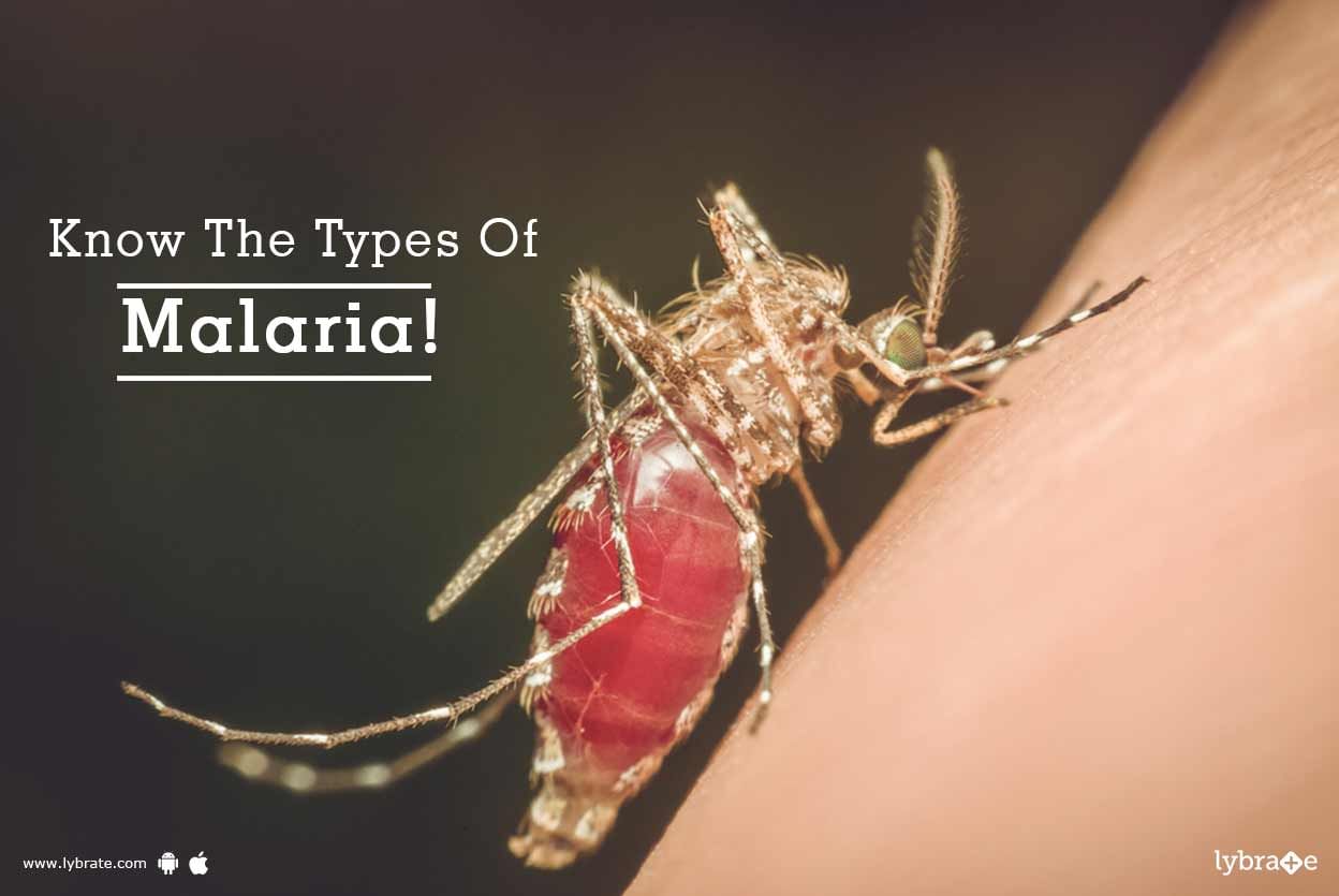 Know The Types Of Malaria!