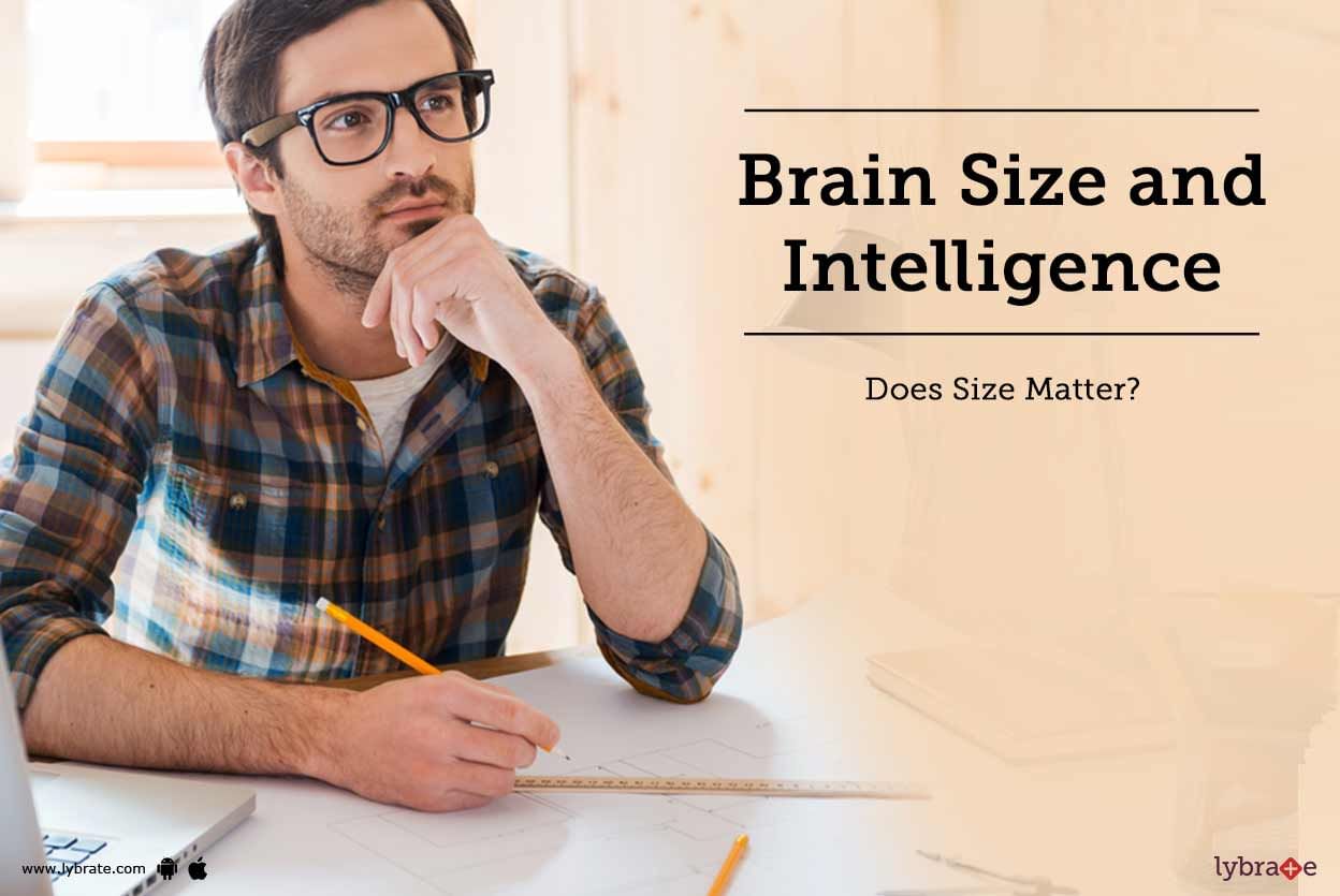 Brain Size and Intelligence: Does Size Matter?