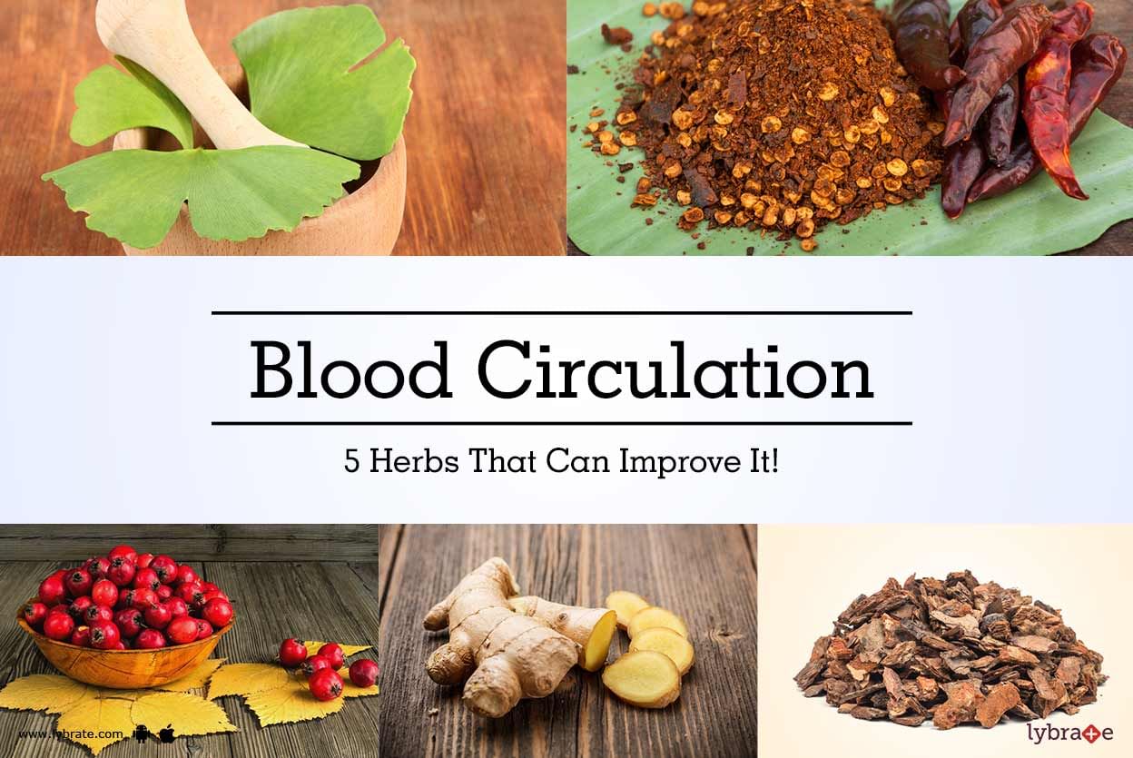 Best 5 Herbs to Increase Blood Circulation Flow