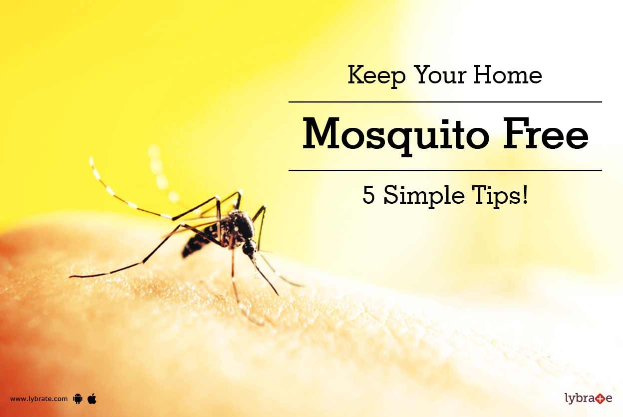 Keep Your Home Mosquito Free - 5 Simple Tips!