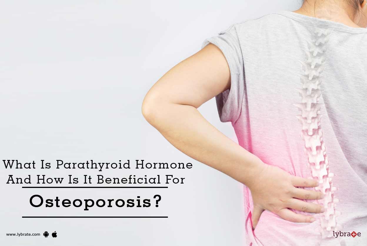 What Is Parathyroid Hormone And How Is It Beneficial For Osteoporosis?