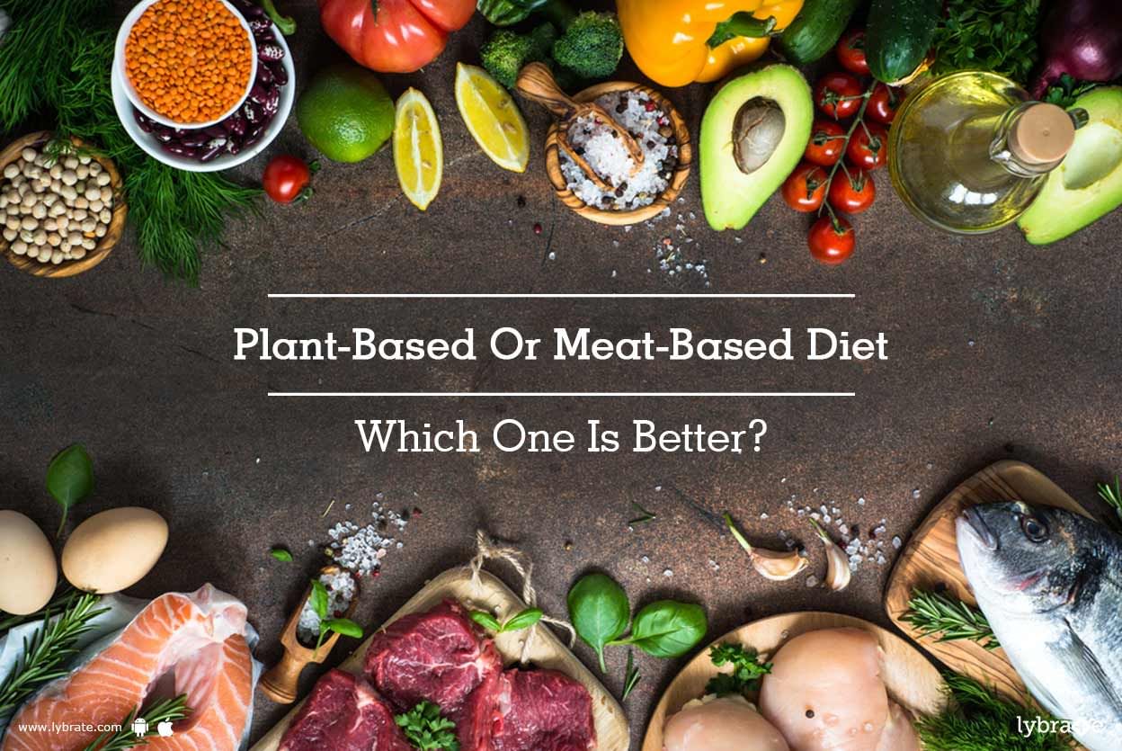 Plant-Based Or Meat-Based Diet - Which One Is Better?
