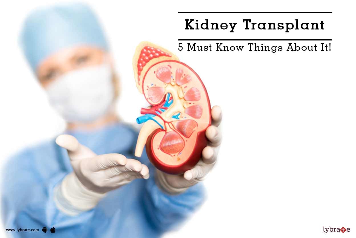 Kidney Transplant - 5 Must Know Things About It!