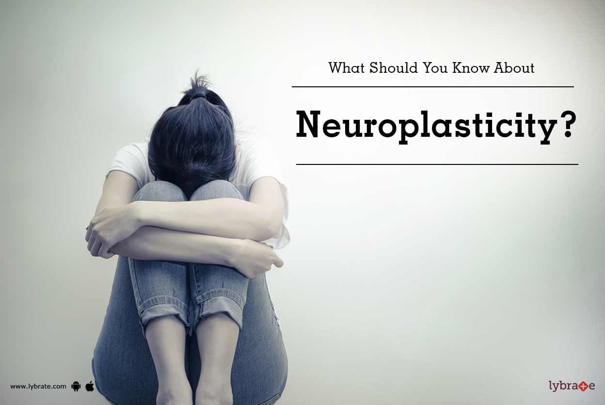 What Should You Know About Neuroplasticity?