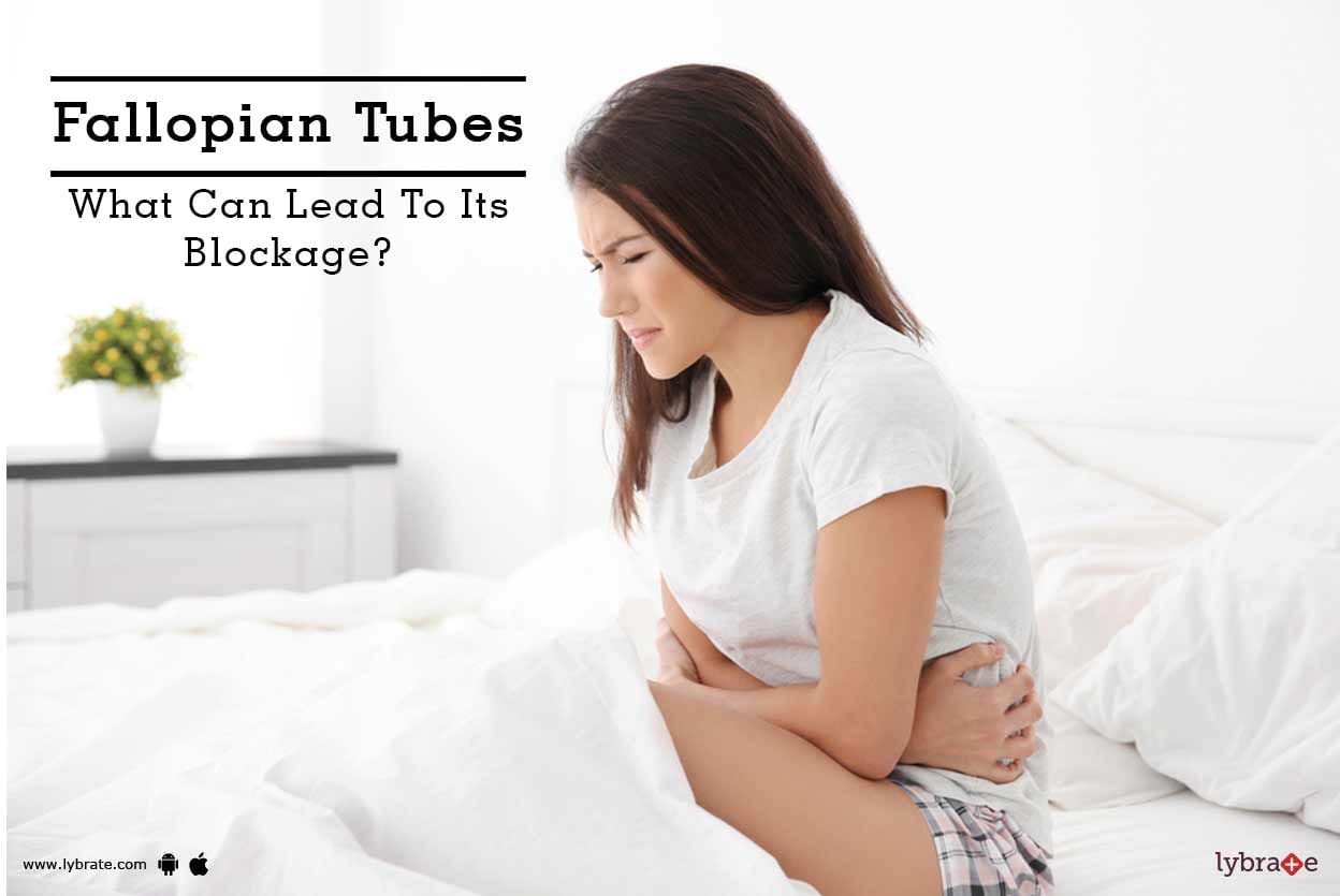 Fallopian Tubes - What Can Lead To Its Blockage?