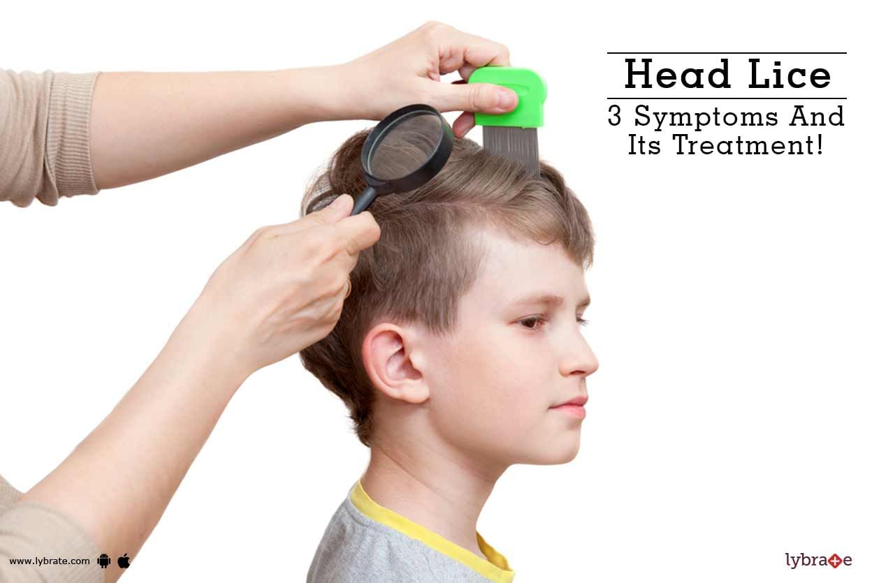 Head Lice - 3 Symptoms And Its Treatment!
