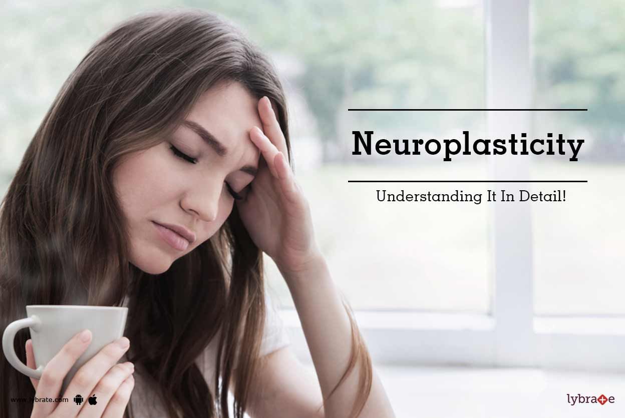 Neuroplasticity - Understanding It In Detail!