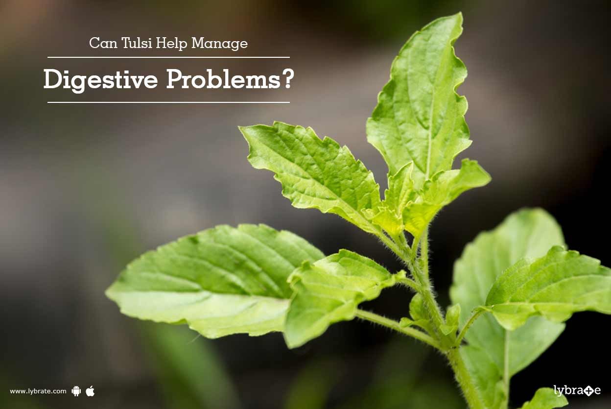 Can Tulsi Help Manage Digestive Problems?