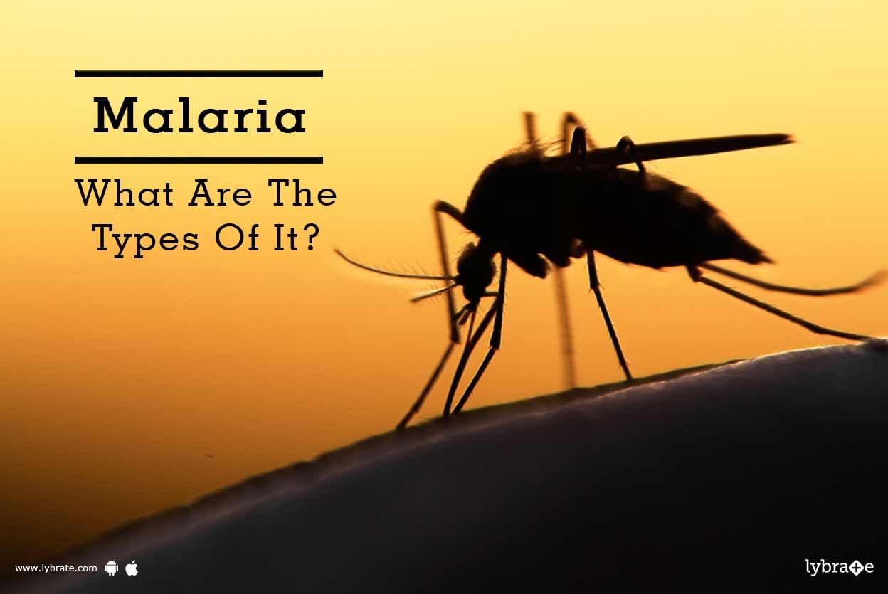 Malaria - What Are The Types Of It?