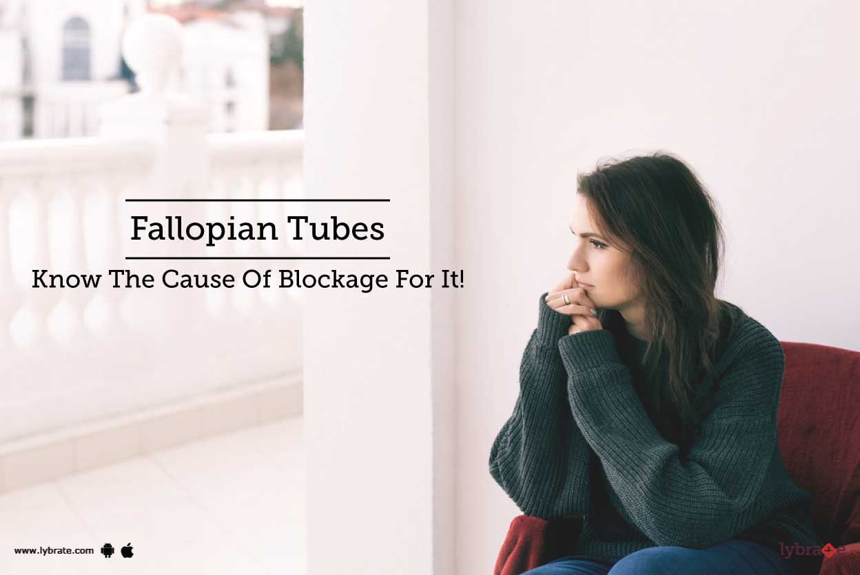 Fallopian Tubes - Know The Cause Of Blockage For It!