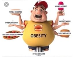 banner-image
