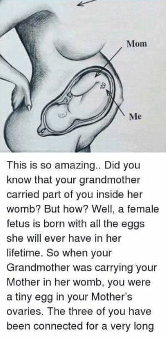 You Stated Life In Your Grandmother's Womb!