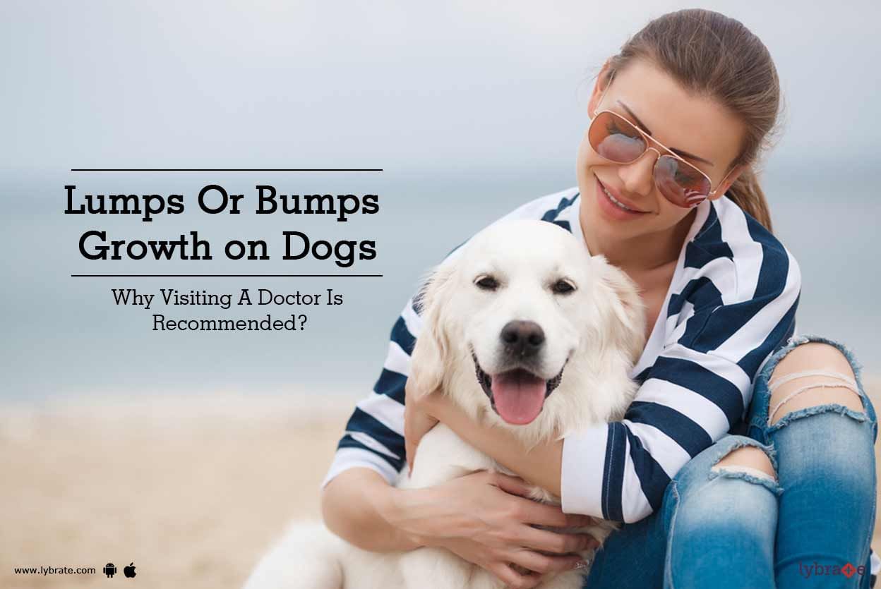Lumps Or Bumps Growth on Dogs - Why Visiting A Doctor Is Recommended?