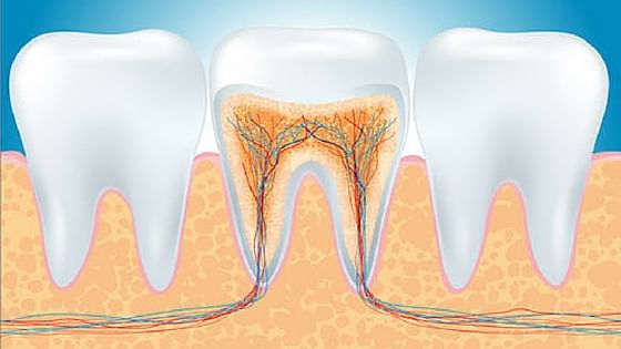 banner-image