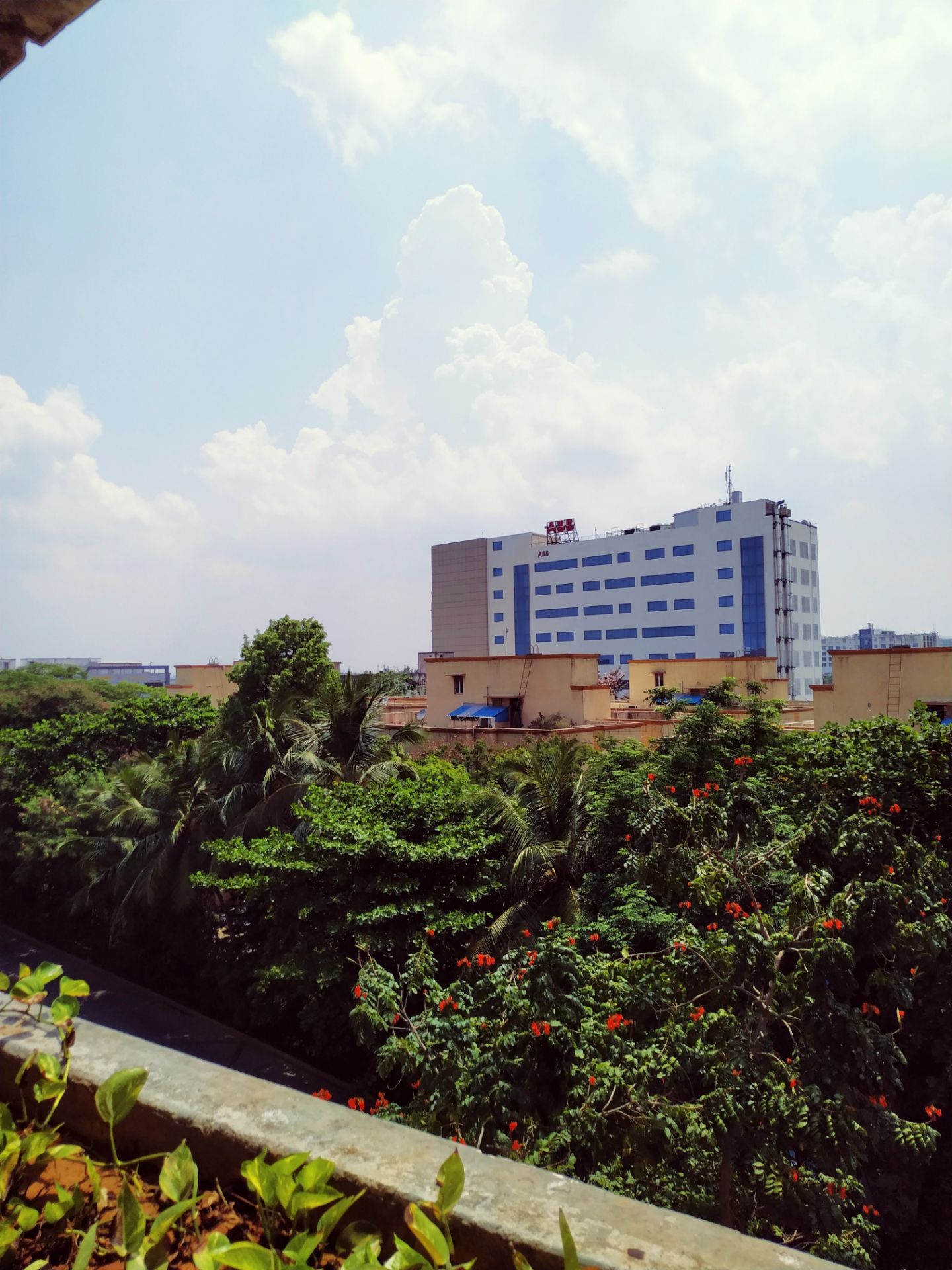 doctor-profile