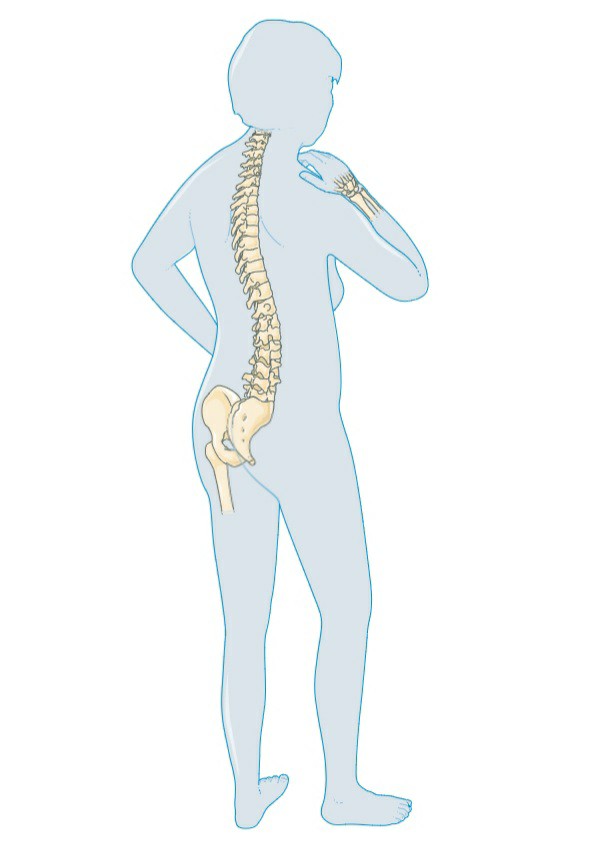 doctor-profile