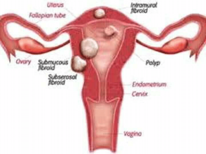 banner-image