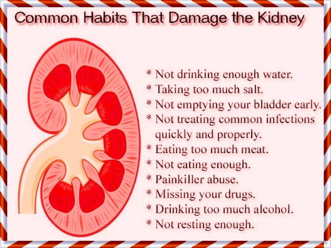 5 Ways to Keep Your Kidneys Active