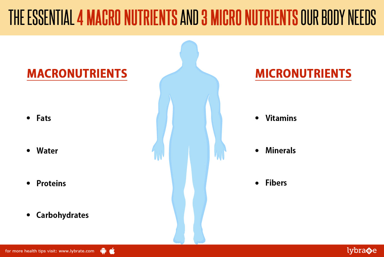 The Essential 4 Macronutrients and 3 Micro Nutrients Our Body Needs