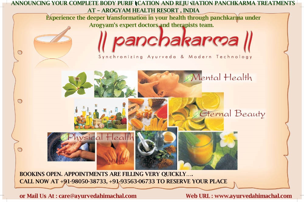 banner-image