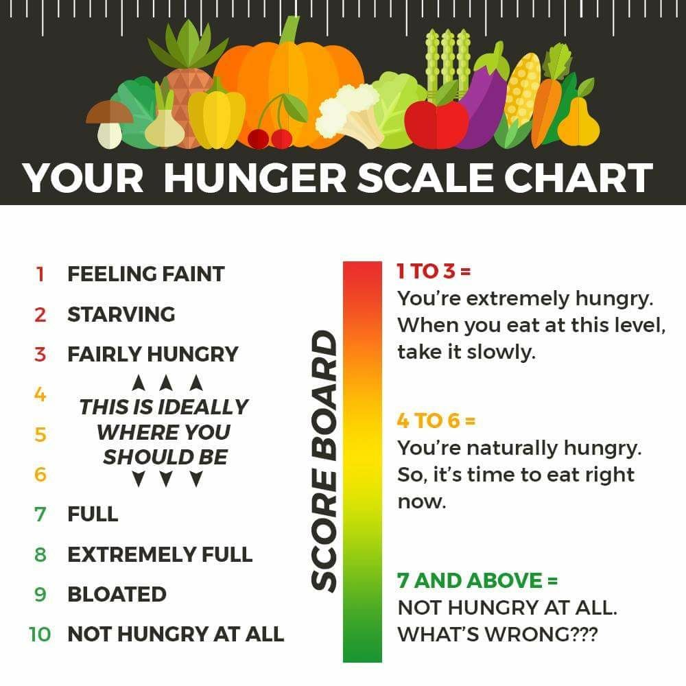 Your Hunger Scale Chart