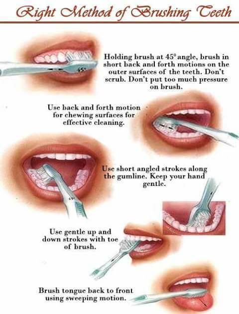 Right method of brushing teeth