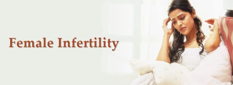 banner-image