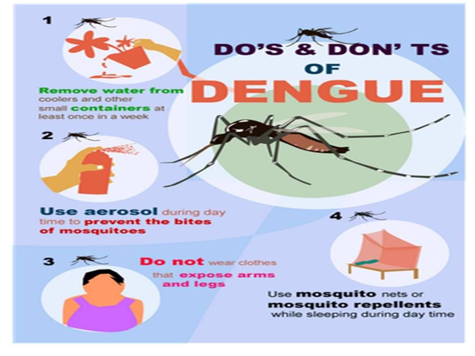 Do's And Don'ts Of Dengue Fever!