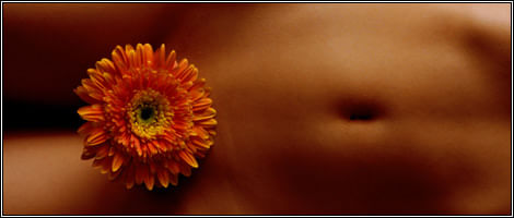 banner-image