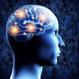 banner-image