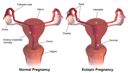 banner-image