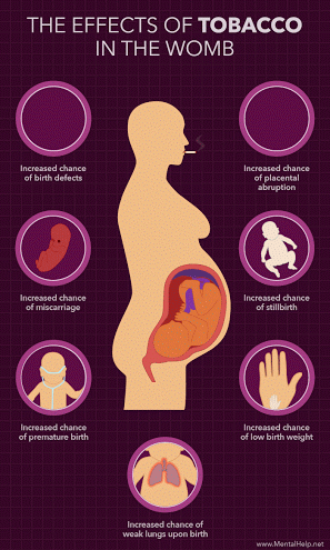 The Effects Of Tobacco In The Womb