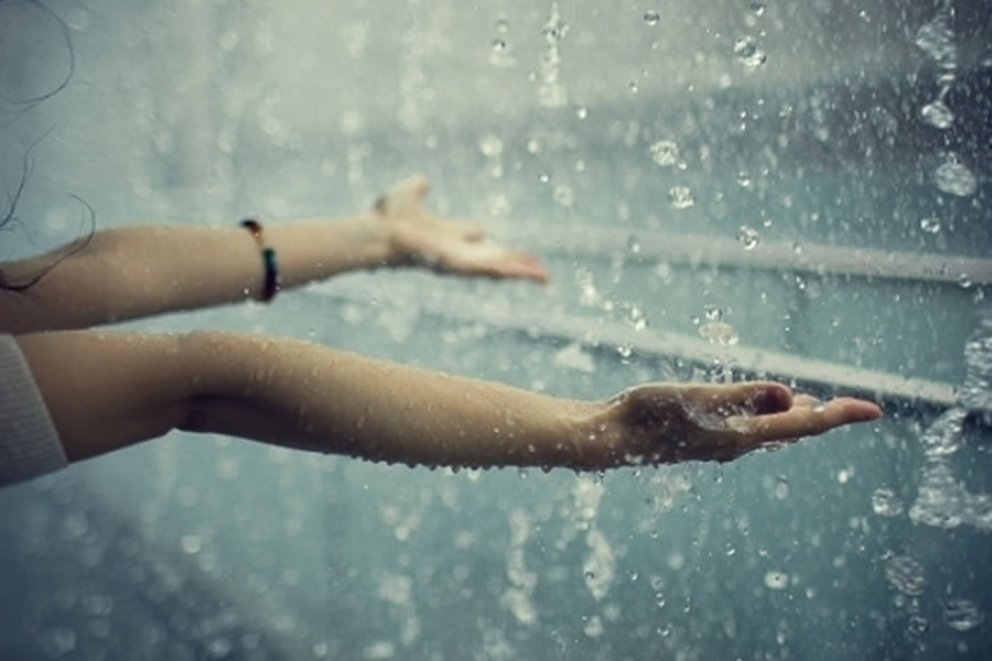 banner-image