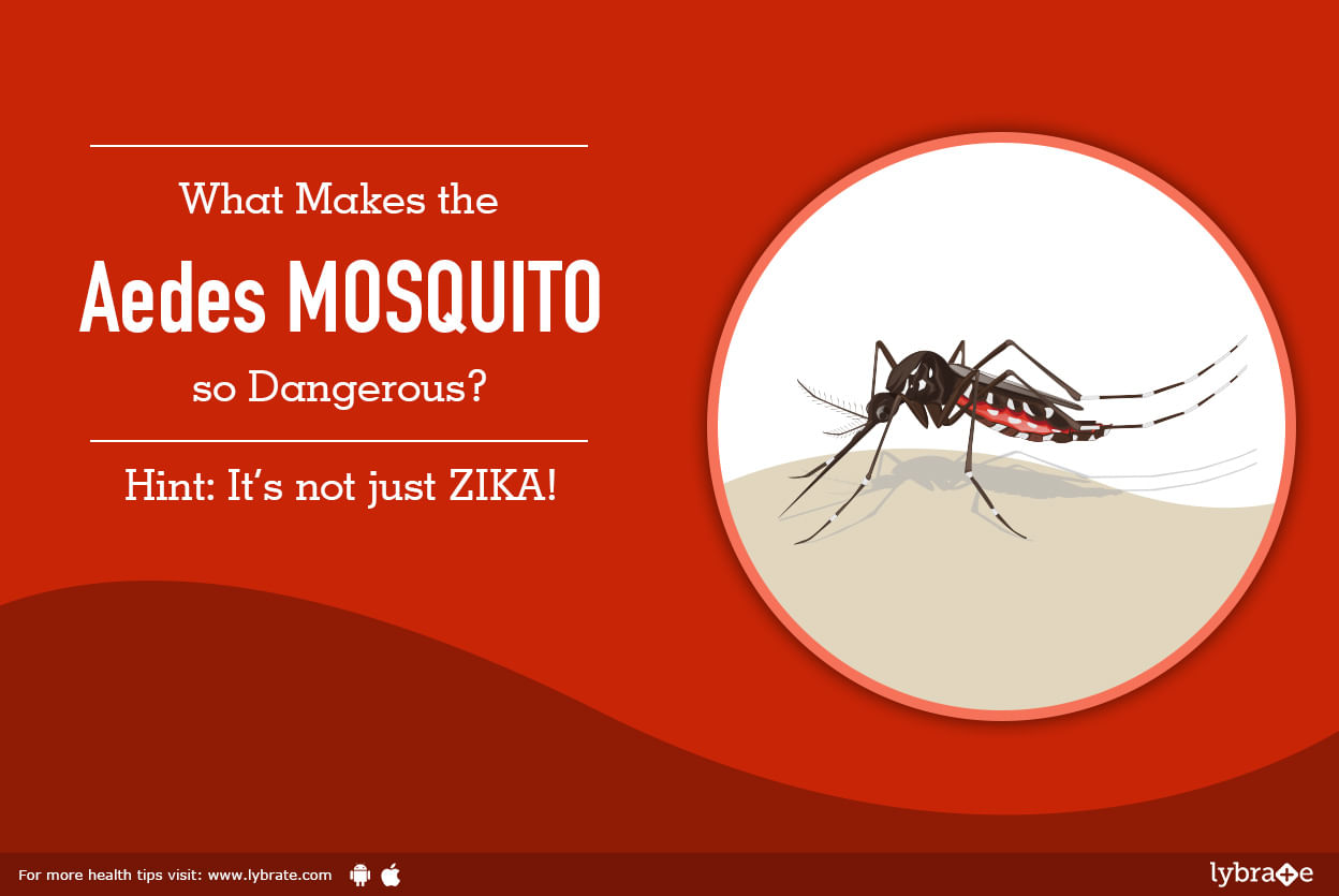 What Makes the Aedes MOSQUITO so Dangerous? Hint: It's not just ZIKA!