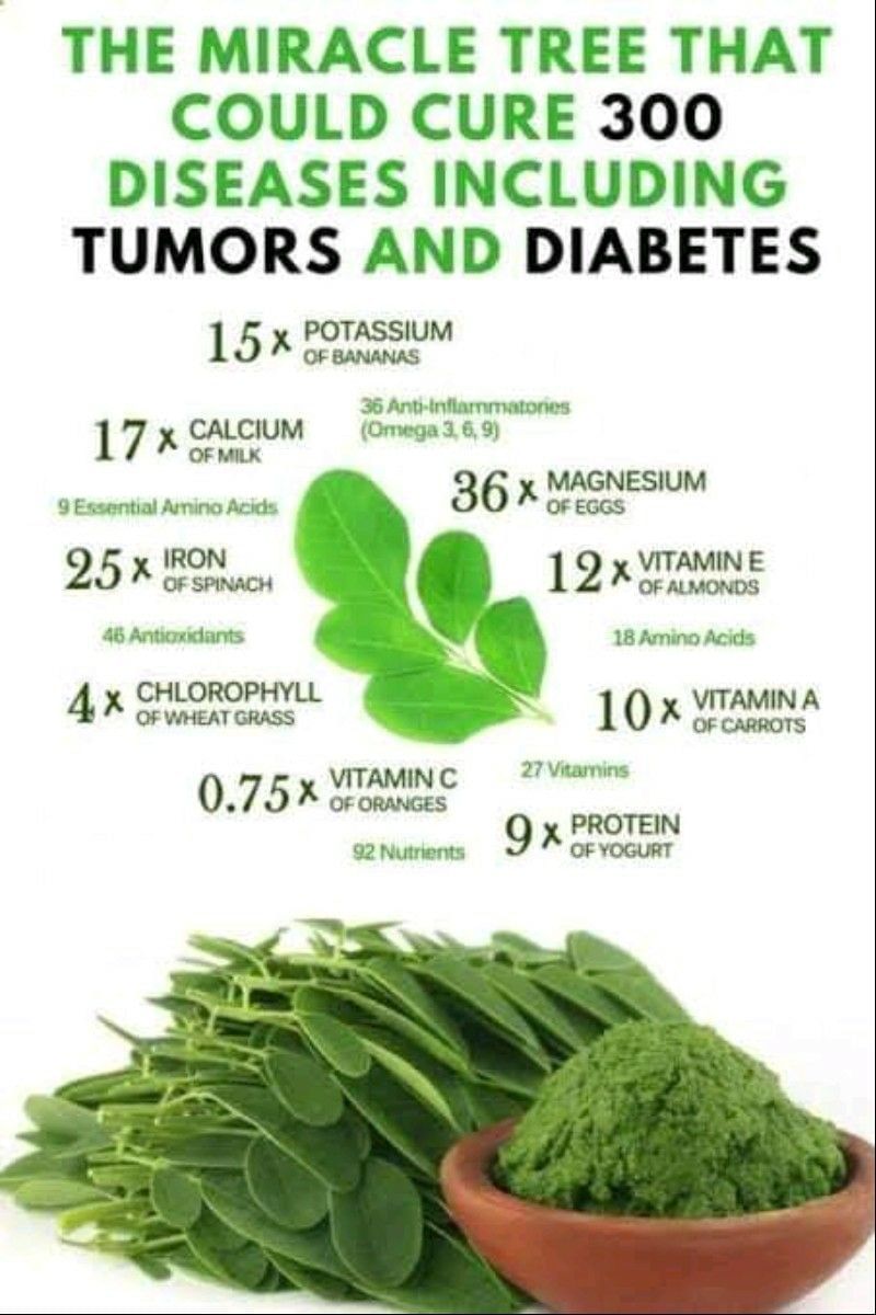 Moringa Leaves - Health Benefits