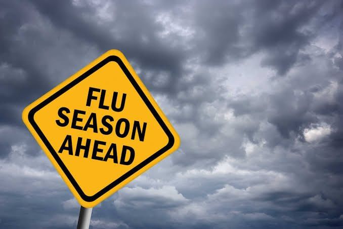 Seasonal Flu: Are We Ready?