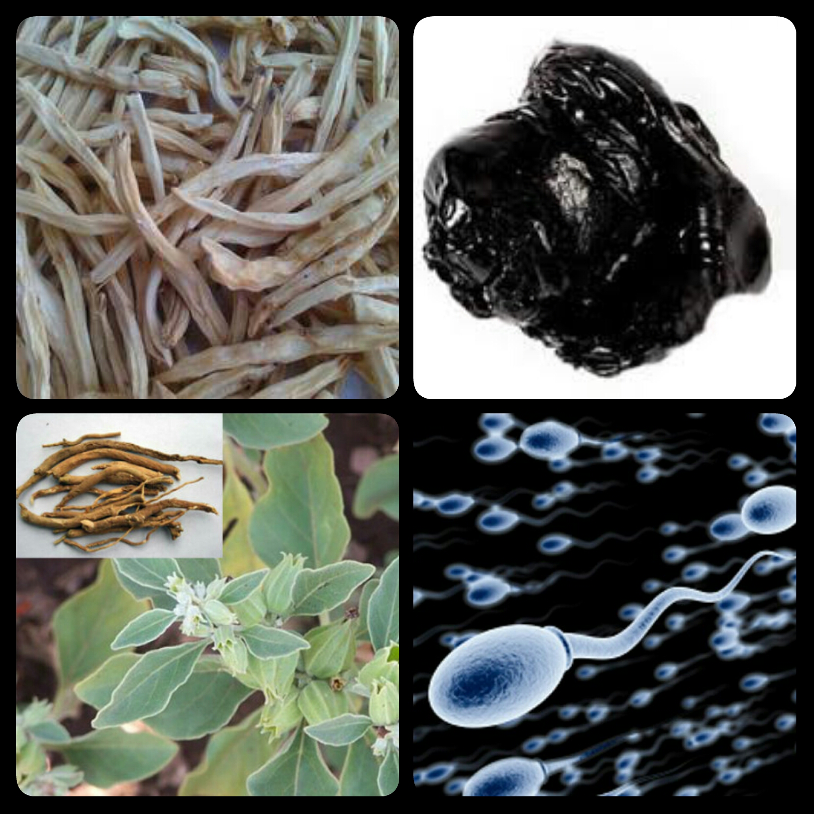 banner-image