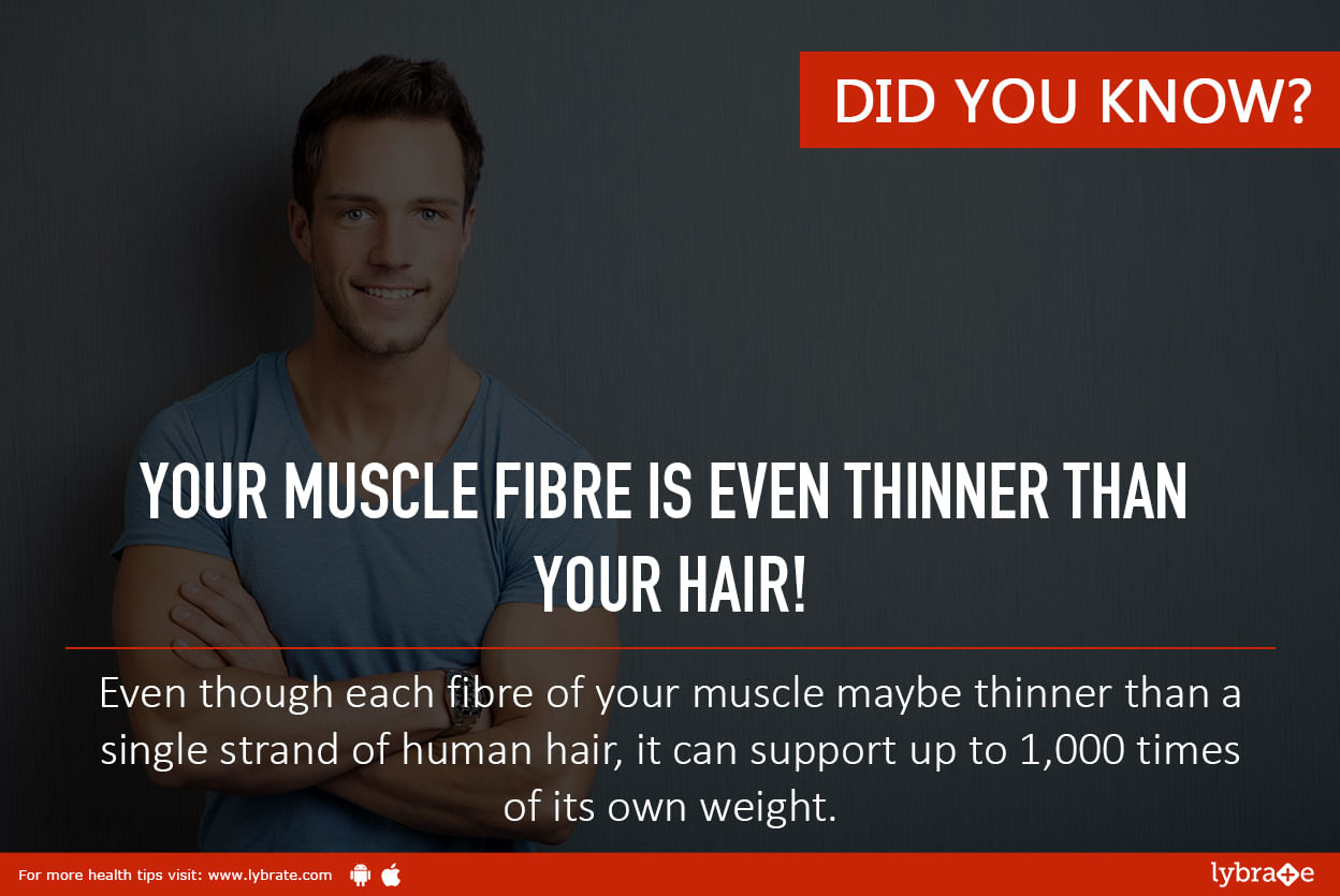 Super Fact of the Day: Your muscle fibre is even thinner than your hair!
