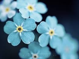 banner-image
