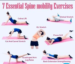 Spine Fitness