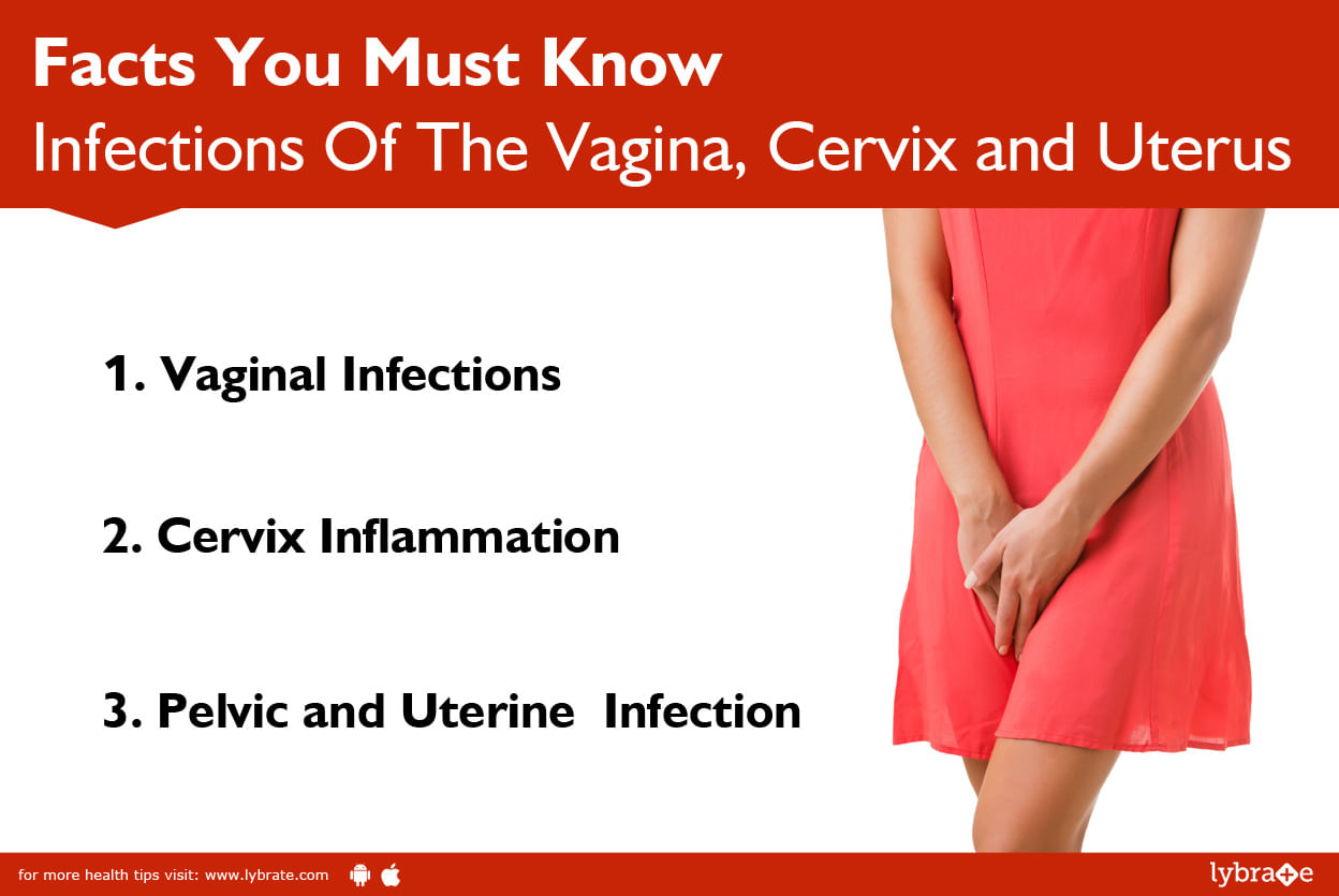 Infections Of The Vagina, Cervix and Uterus: Facts You Must Know.