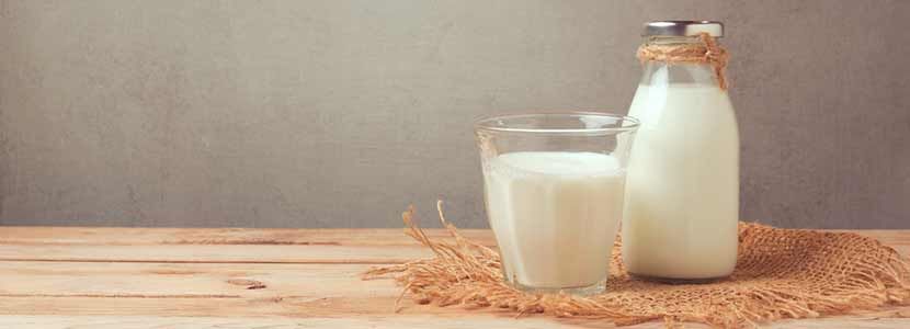 Milk (Dudh) Benefits And Its Side Effects | Lybrate