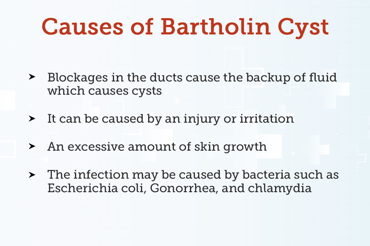 Bartholin Abscess: Treatment, Procedure, Cost, Recovery, Side Effects ...