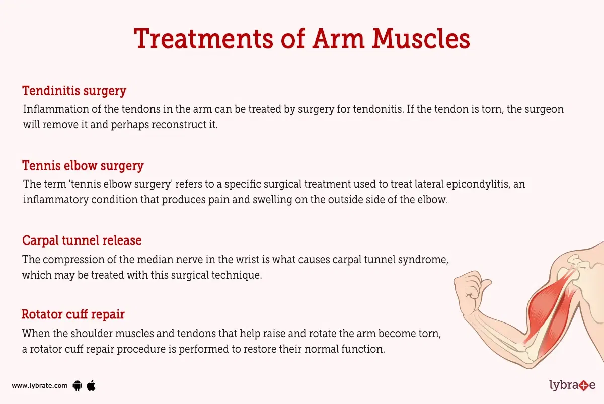 Arm Muscles Human Anatomy Image Functions Diseases And Treatments arm-muscles-human-anatomy-image-functions-diseases-and-treatments