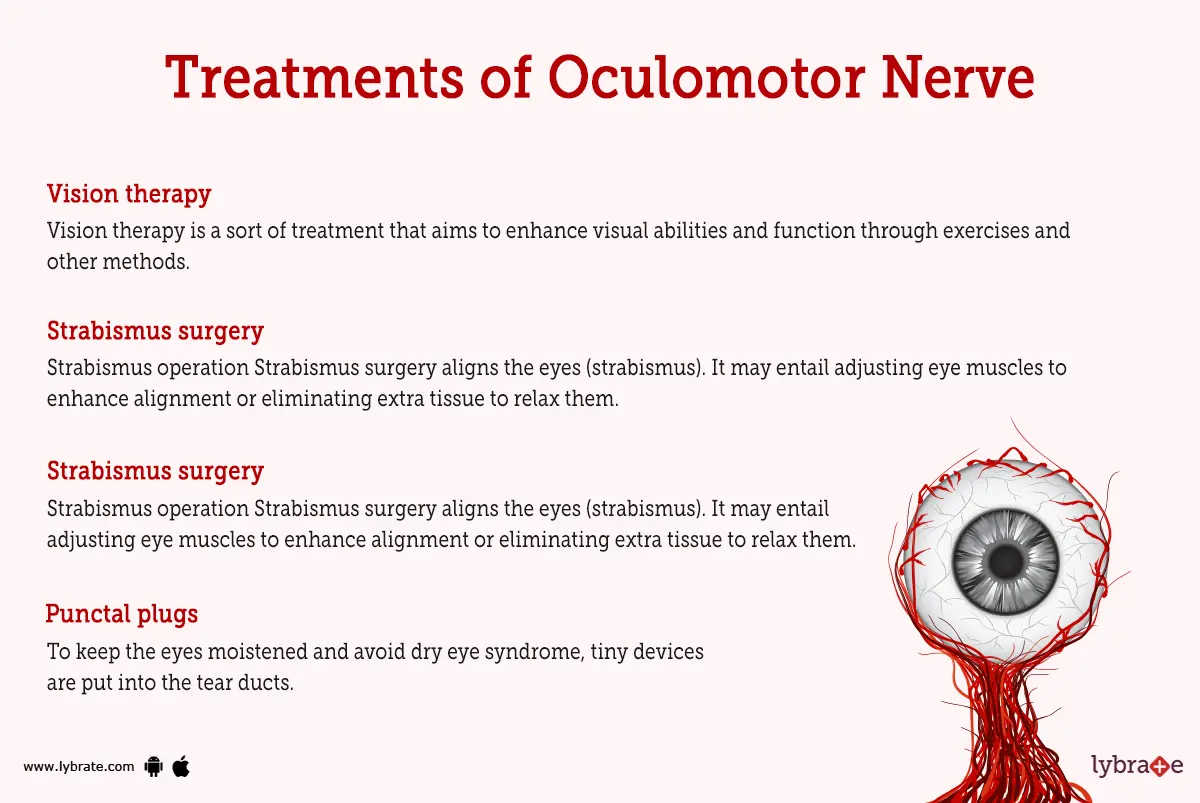Oculomotor (Human Anatomy): Image, Functions, Diseases and Treatments