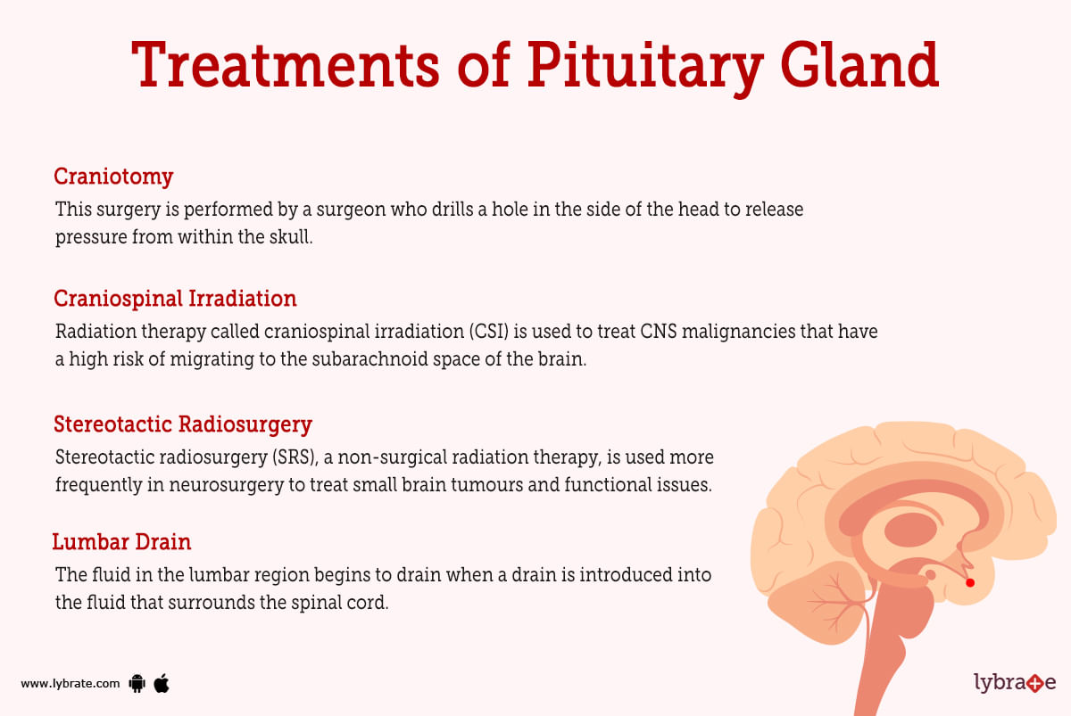 Pituitary Gland Human Anatomy Picture Functions Diseases And Treatments 
