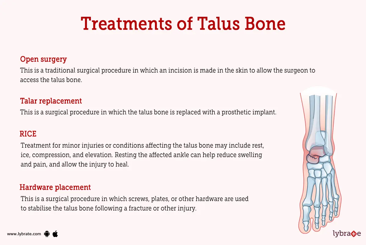Talus Bone (Human Anatomy) Image, Functions, Diseases and Treatments