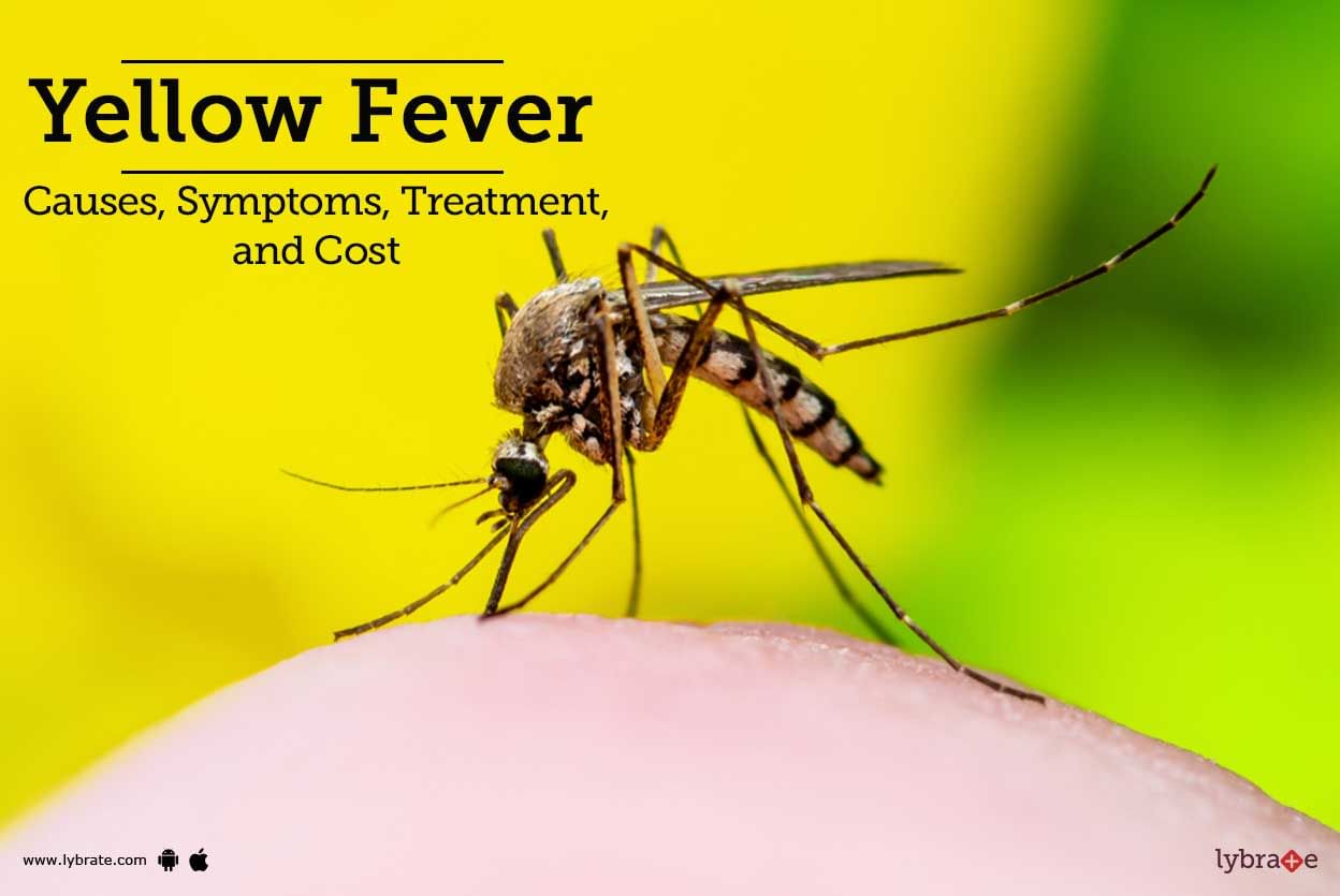 Yellow Fever: Causes, Symptoms, Treatments And More