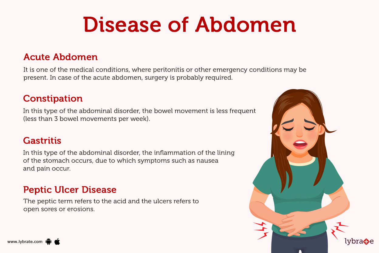 Abdomen (Human Anatomy) - Image, Definition, Function, Diseases and More